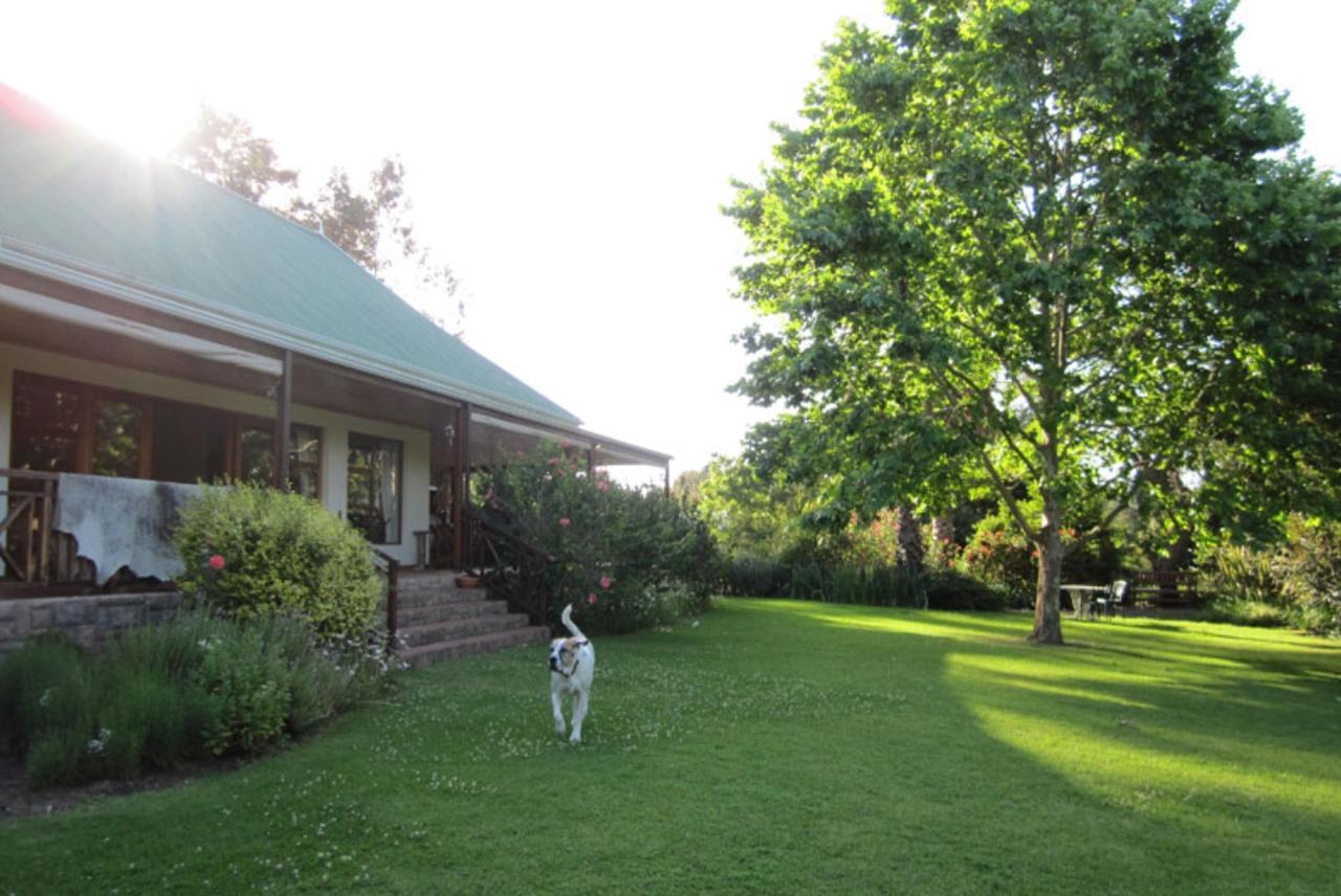 Forest Glen Knysna Exterior photo